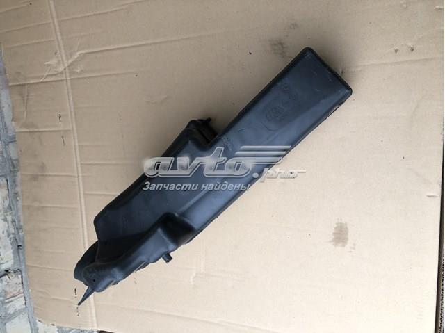 Резонатор Renault (RVI) 165856598R