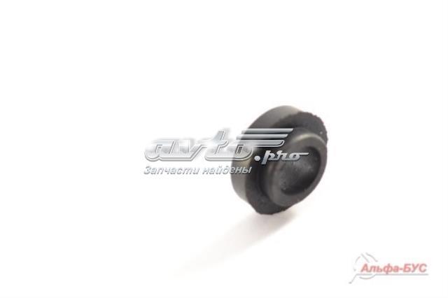 500333117 Iveco 