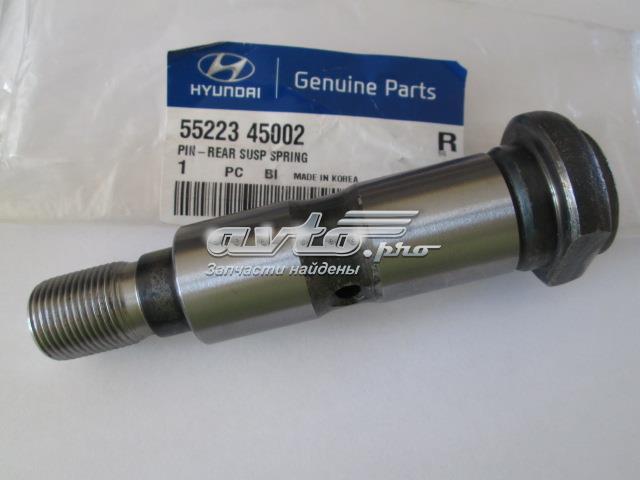 Палець задньої ресори, задній Hyundai/Kia 5522345002