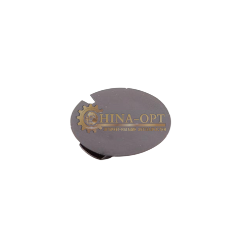  S115300585 Chery