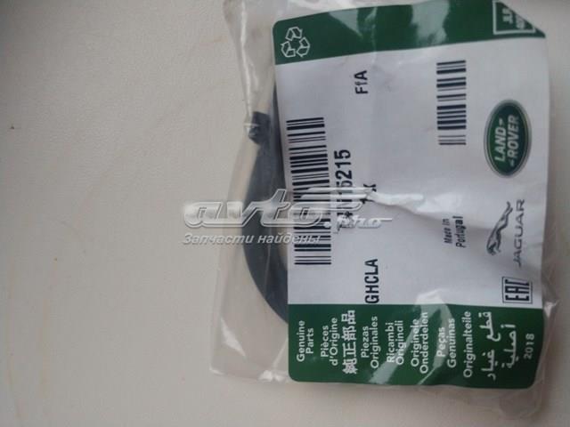 T4N15215 Jaguar 