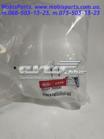  Бачок системи охолодження Hyundai Tucson 3