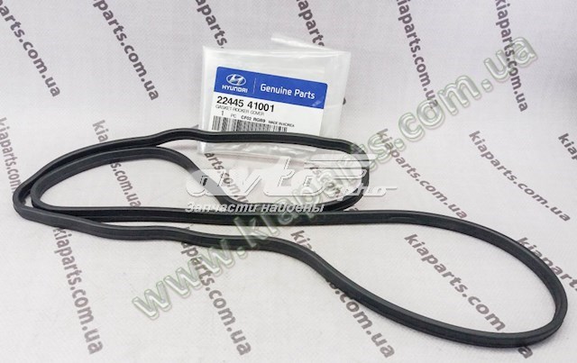 Прокладка клапанної кришки двигуна Hyundai/Kia 2244541001 ціна, від 5.30 USD
