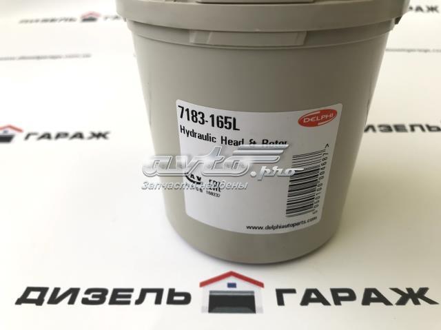 Плунжерная пара Delphi 7183165L