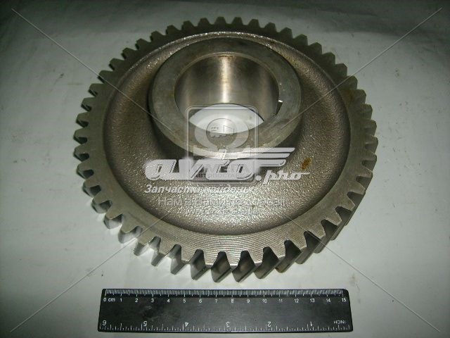  Rider 141701056 ціна, від 48.24 USD