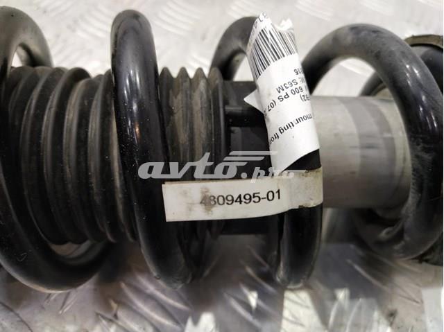 31307856895 BMW 
