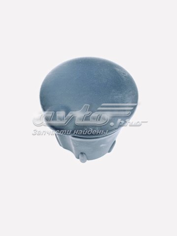 Купити 8200079133 Renault (RVI) 