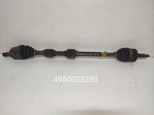 495013S250 Hyundai/Kia 