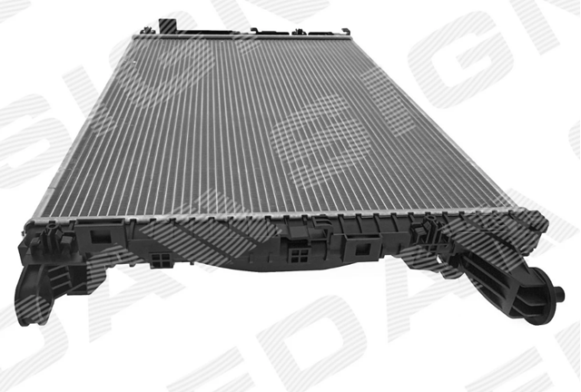  Signeda RA606573Q