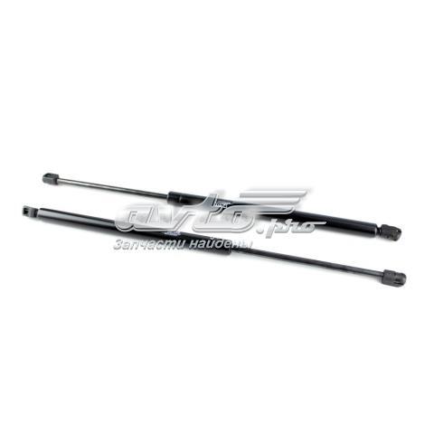 SG330076 Sachs Амортизатор кришки багажника / двері 3/5-ї задньої