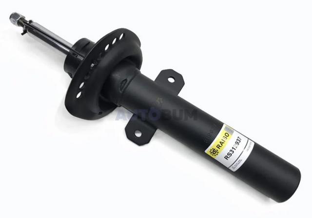 RS312937 Raiso Стійка передня