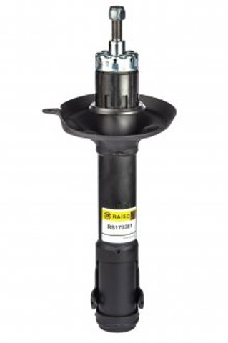 Амортизатори передні Raiso RS170381