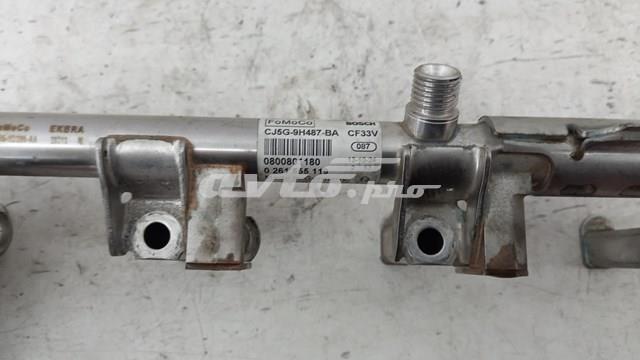  CJ5G9H487BA Ford