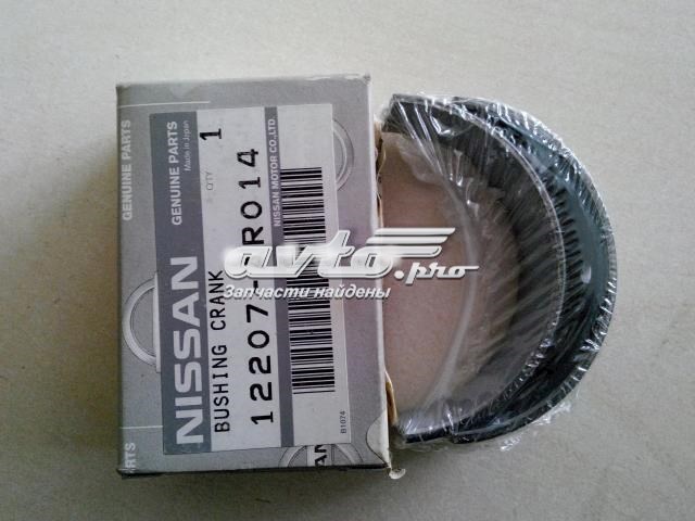  Nissan/Infiniti 12207AR014