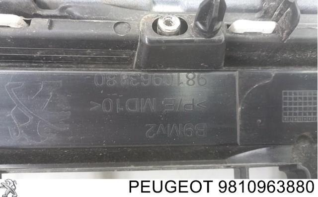 9810963880 Peugeot/Citroen 
