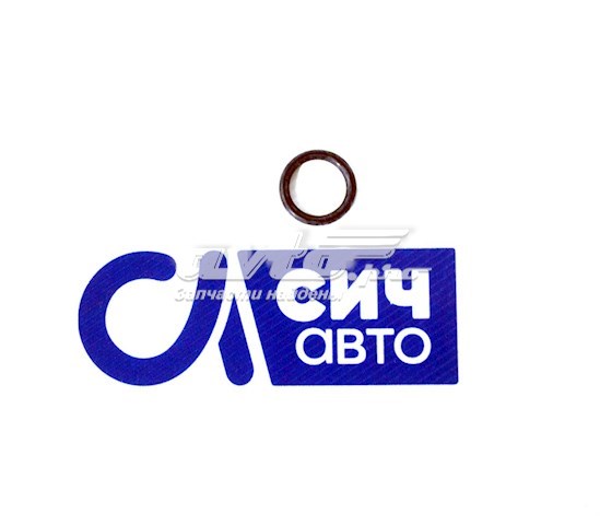 Купити 407605210 Victor Reinz Прокладка масляного насосу