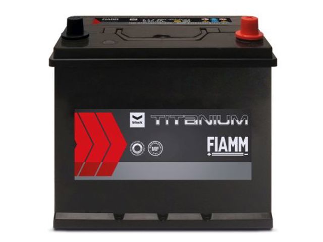  7905188 Fiamm