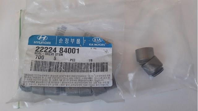  2222484001 Hyundai/Kia