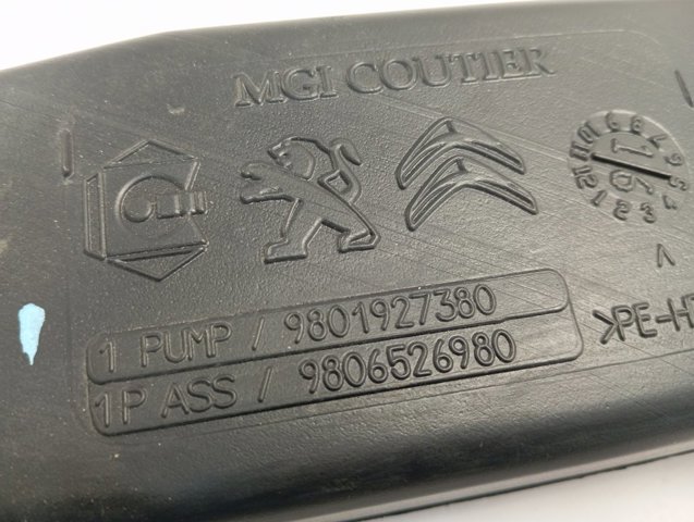  Peugeot/Citroen 9801927380