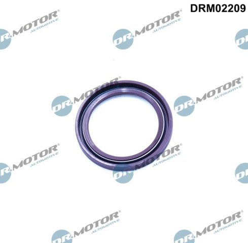  DRM02209 Dr.motor