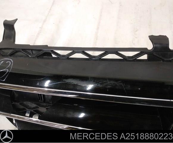 Купити A2518880223 Mercedes 