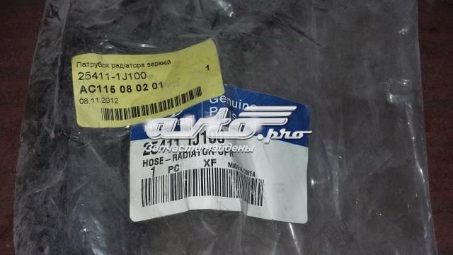 254111J100 Hyundai/Kia Шланги системи охолодження