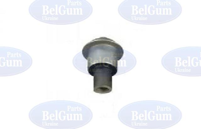  BG0411 Belgum