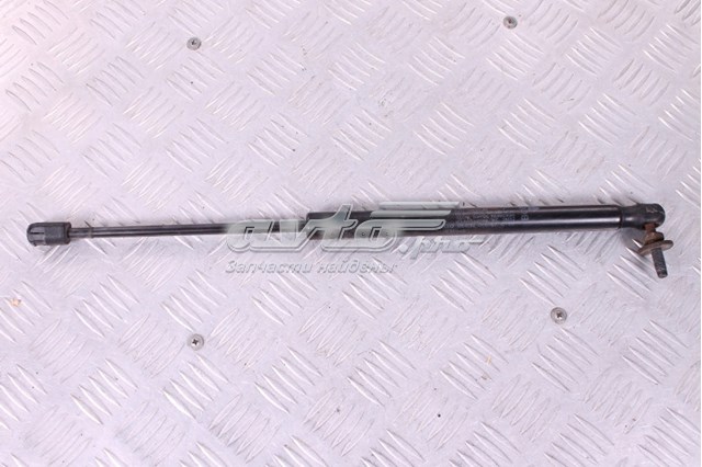  FPS FP3810536