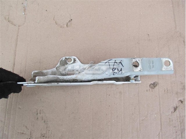 Шарнір капота правий Signeda PHN21070AR