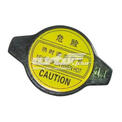  BYD 1006686600
