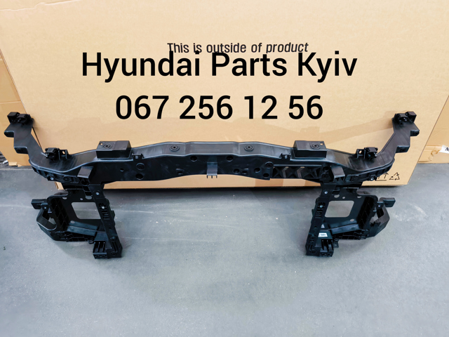 Купити 64101BE000 Hyundai/Kia Установча панель передня