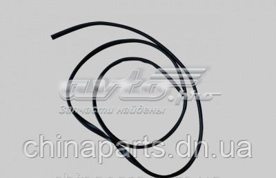 Купити Ущільнювач лобового скла Geely Mk  