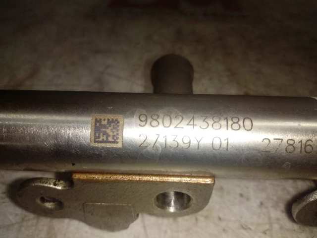  9802438180 Peugeot/Citroen