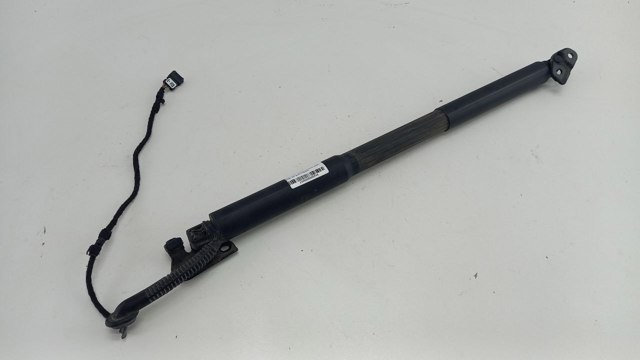 7263155 BMW Амортизатор кришки багажника / двері 3/5-ї задньої