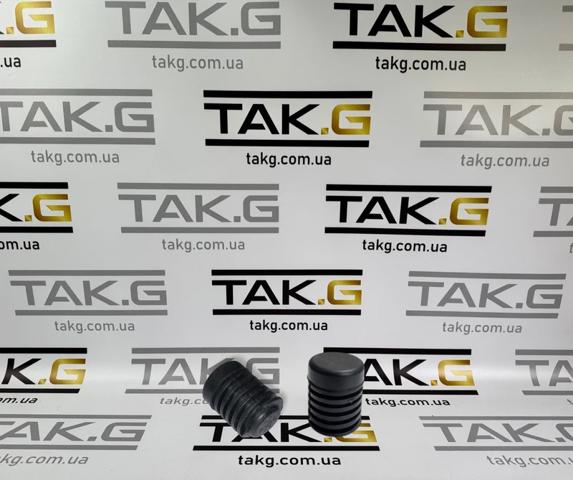Купити 600722000B Tesla Буфер-відбійник 5-й двері
