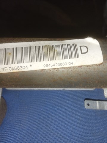 9645423880 Peugeot/Citroen 