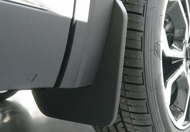 Бризковики передній, правий Renault (RVI) 638405086R ціна, від 13.69 USD