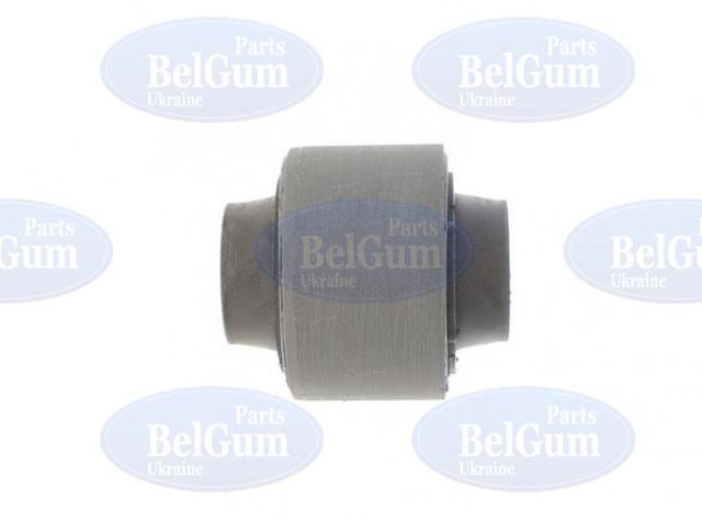 BG0539 Belgum 