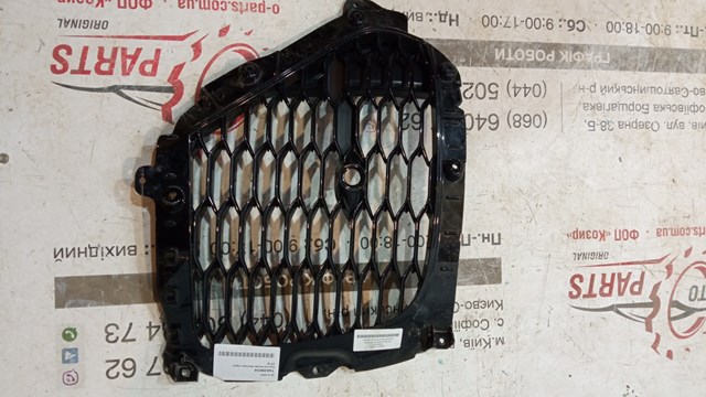 T4A39634 Jaguar 