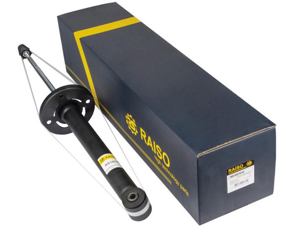 RS105781G Raiso Амортизатори задні
