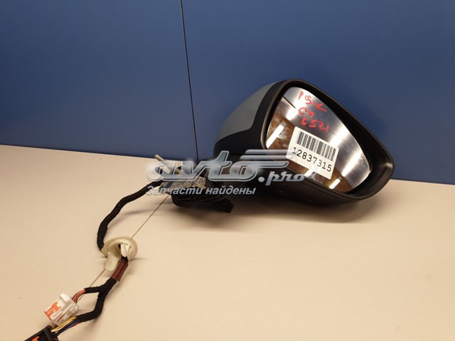 1608534980 Peugeot/Citroen 