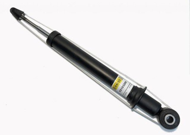 Задній амортизатор Raiso RS105299