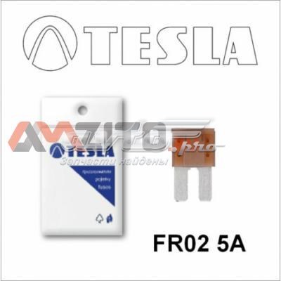 FR25A Tesla 