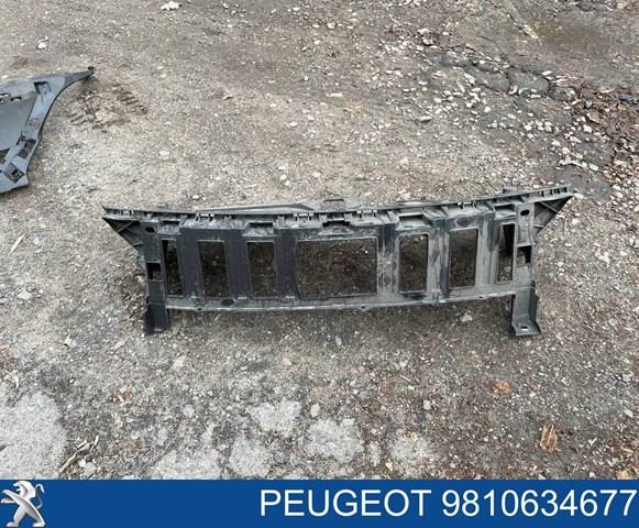  Peugeot/Citroen 9810634677 ціна, від 125.00 USD