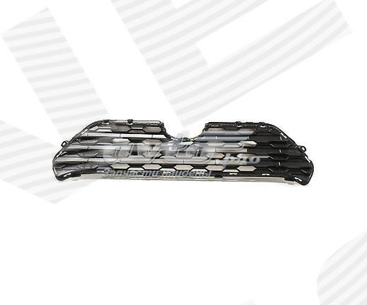 Решітка радіатора PTY99607AK Signeda