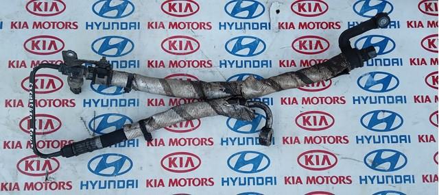 575103S450 Hyundai/Kia 