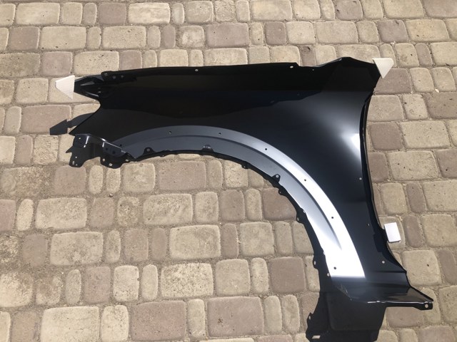 Купити 5287021 Polcar Крила