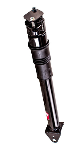 Амортизатор задній Tashiko G99846 ціна, від 112.49 USD