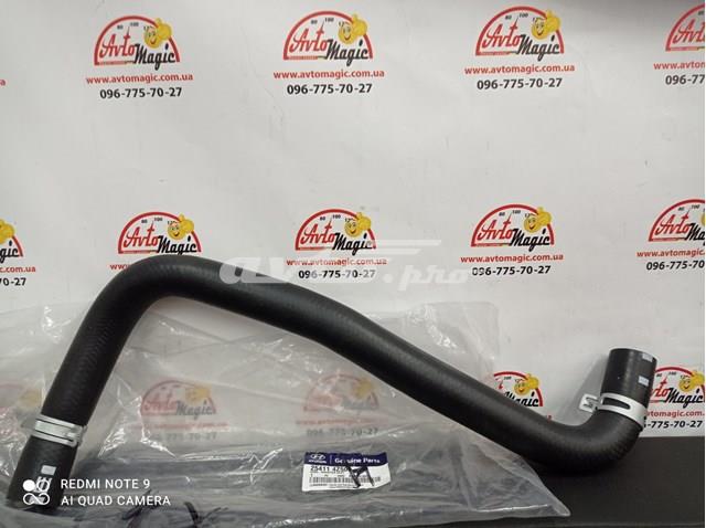 254114Z500 Hyundai/Kia 