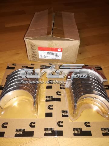  4955853 Cummins